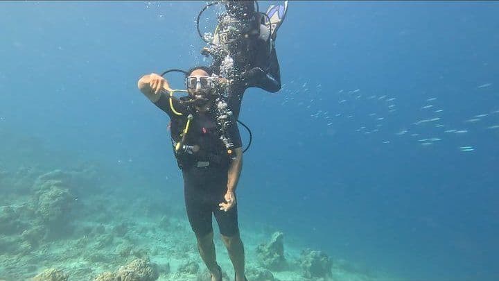 Best Time to Dive in Havelock, Andaman: A Season-by-Season Guide