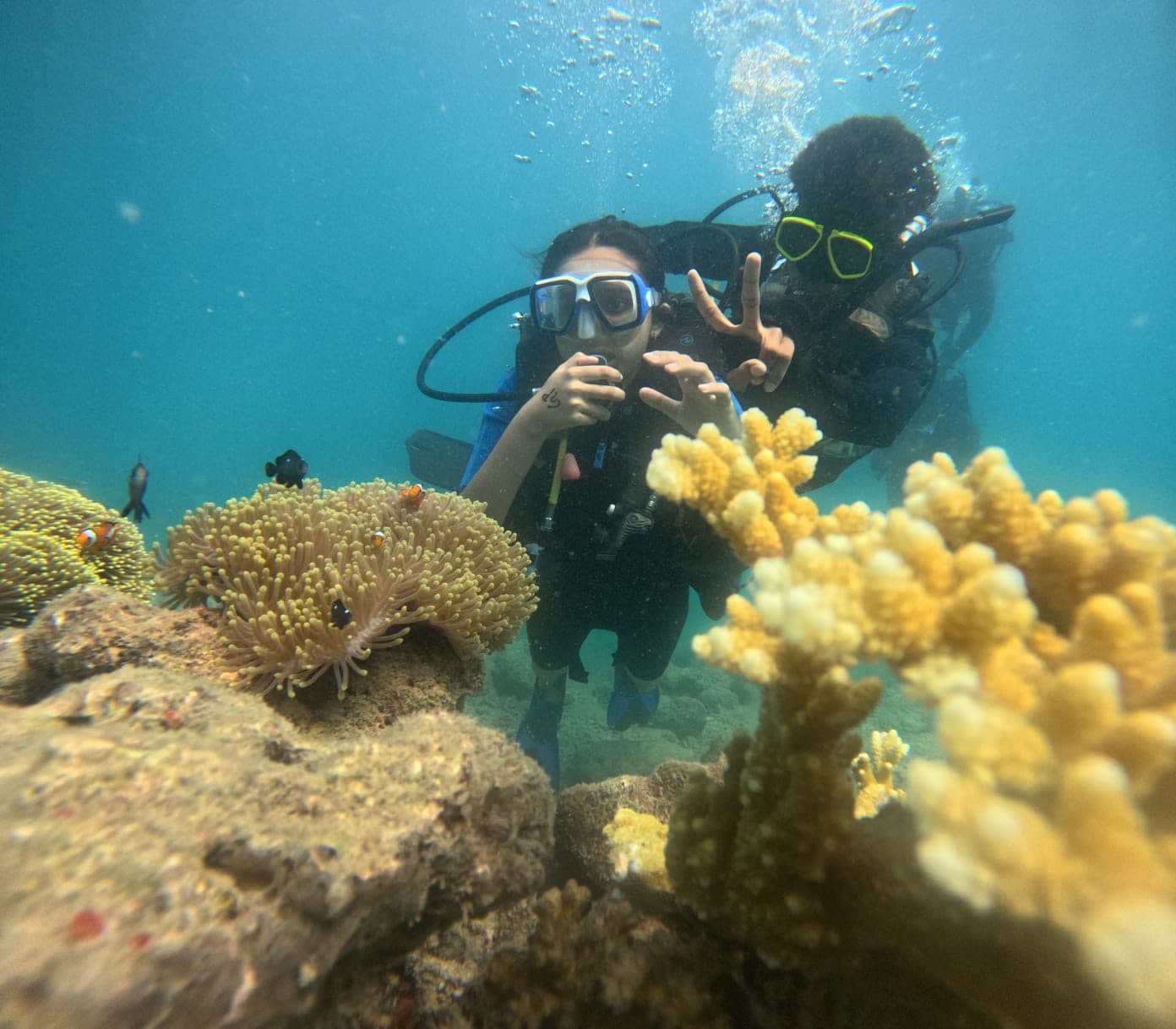 PADI Scuba Diver vs Open Water: Which Course Should You Choose?