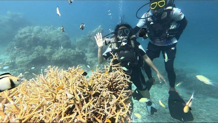 50-Min Signature Dive
