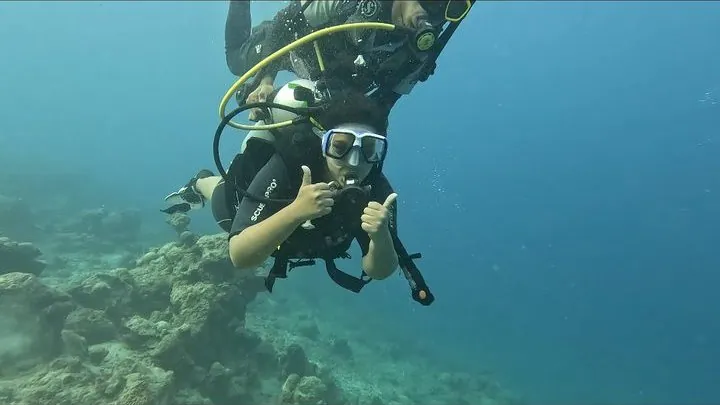 20-Min Taster Dive