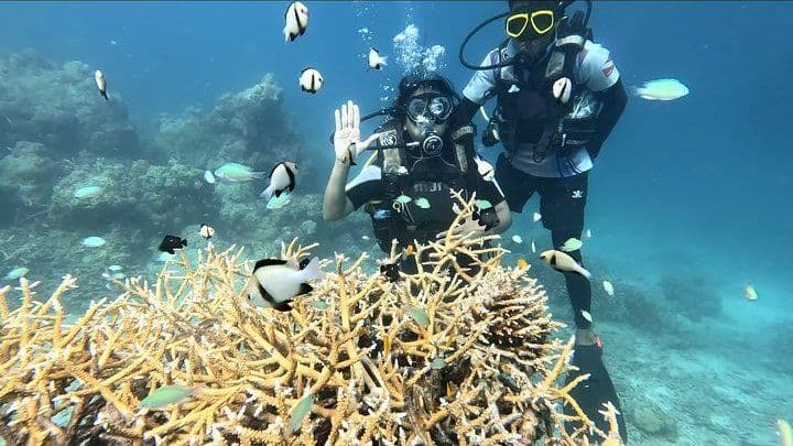 50-Min Signature Dive