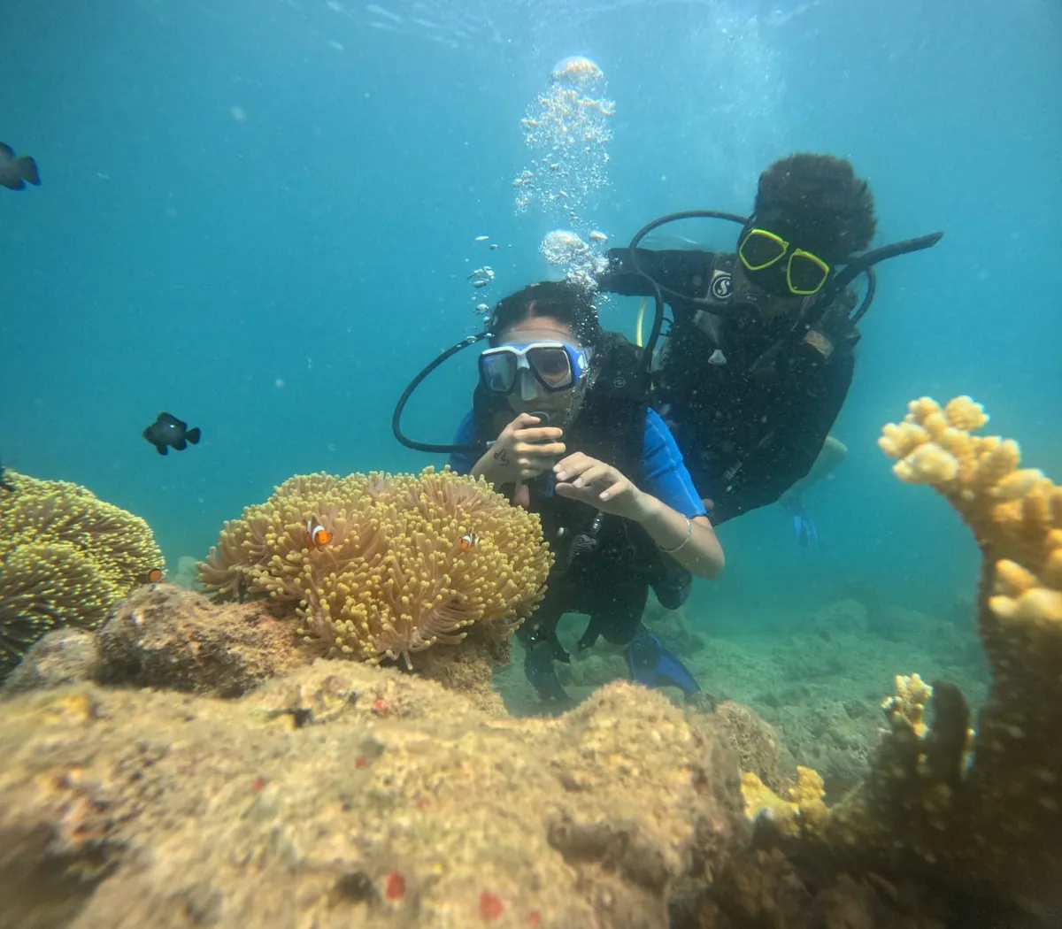 Scuba Diving — Group of 4+ — Turtle Beach, Havelock
