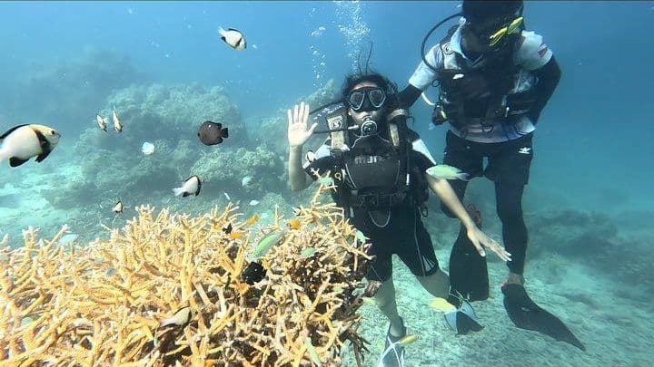 Scuba Diving — 2 persons — Turtle Beach, Havelock