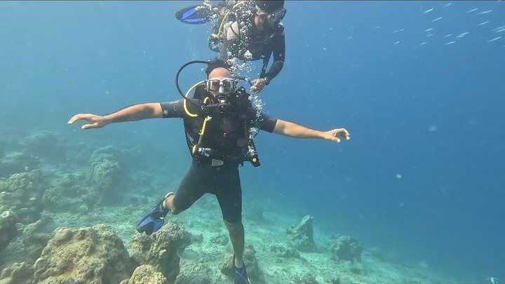 Turtle Beach reef, Havelock